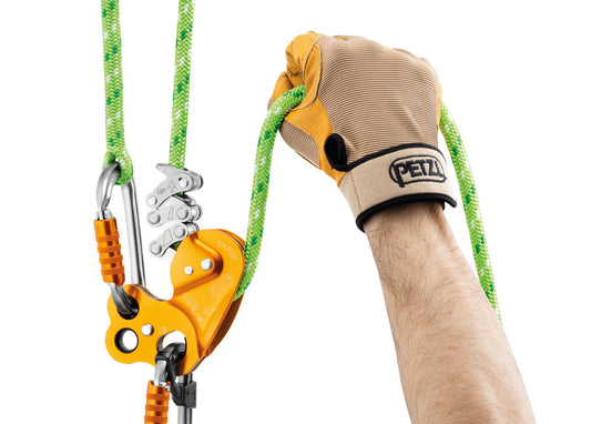 Petzl ZigZag Fixed Hole